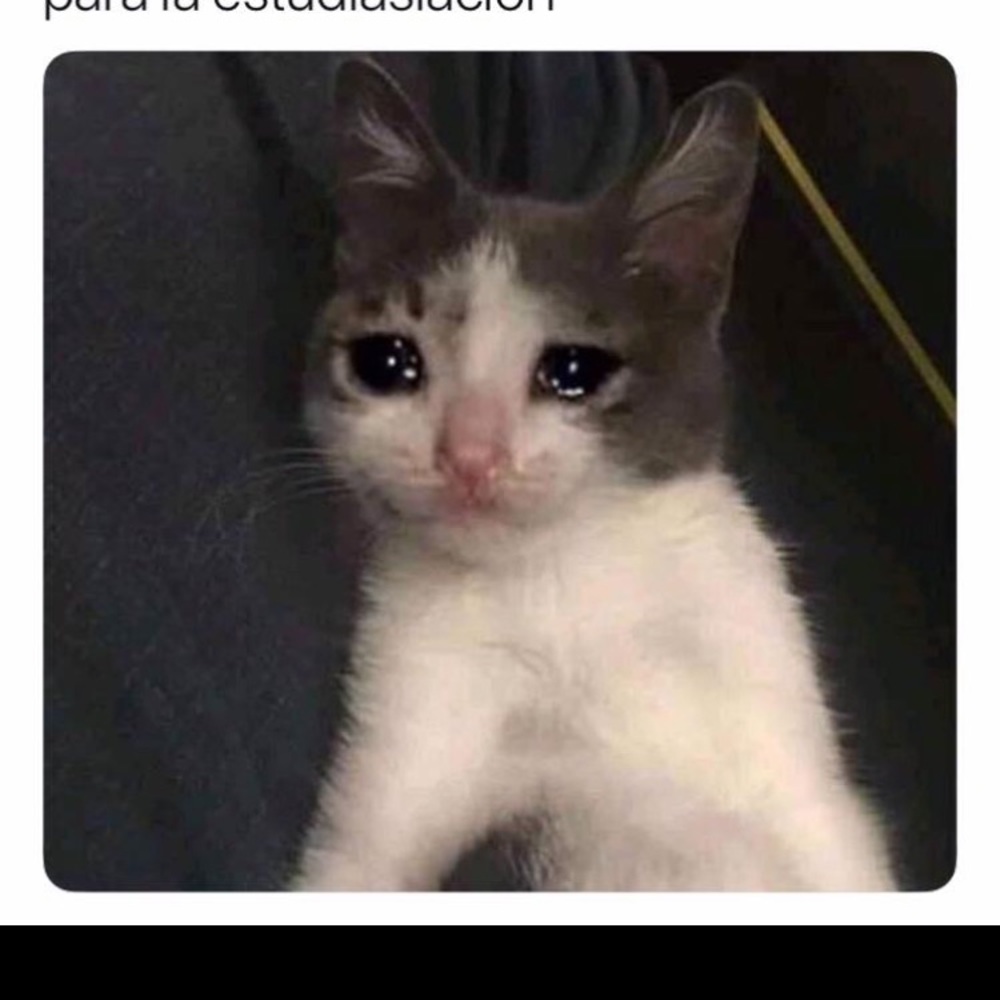 Meet your Posher, Jaque